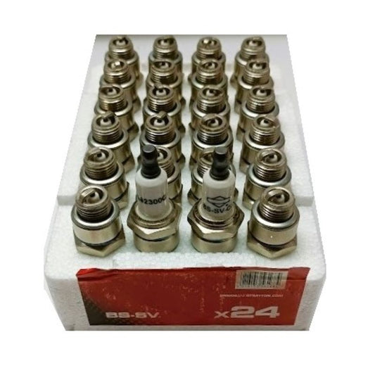 Candela Briggs&Stratton BS-SV