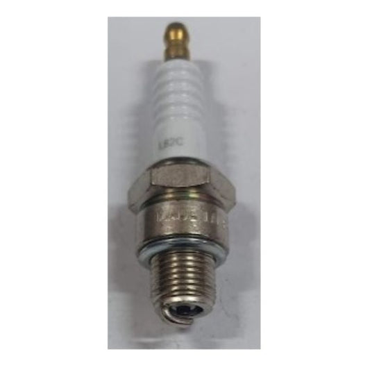 Candela Champion L 82C