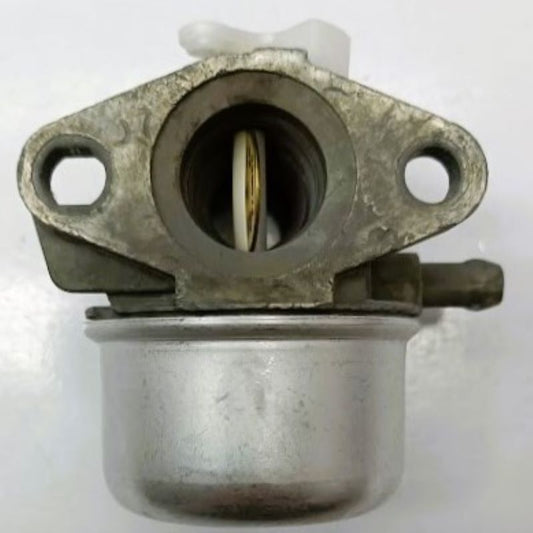 Carbuartore Briggs&Stratton