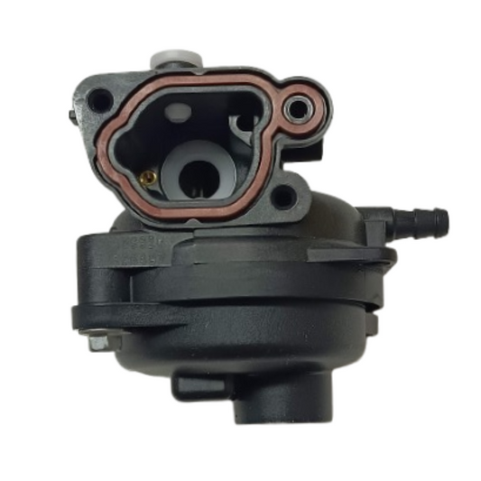 Caraburatore Briggs&Stratton