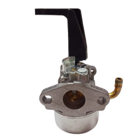 Carburatore BriggS&Stratton
