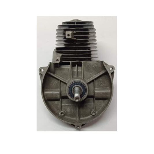 Cilindro pistone albero motore decespugliatore