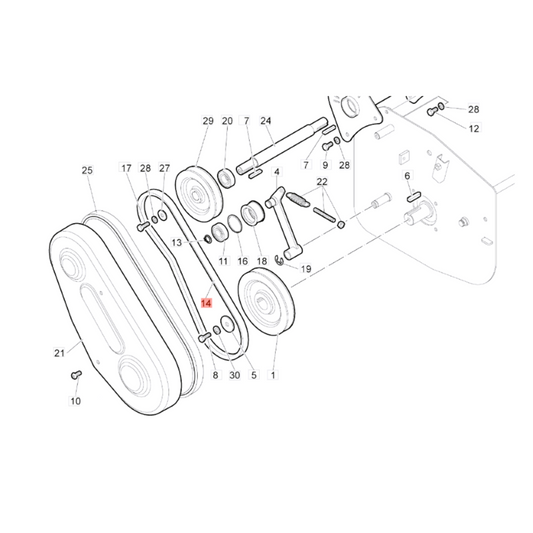 Cinghia trincia Nibbi, Bertolini, Efco, Oleomac