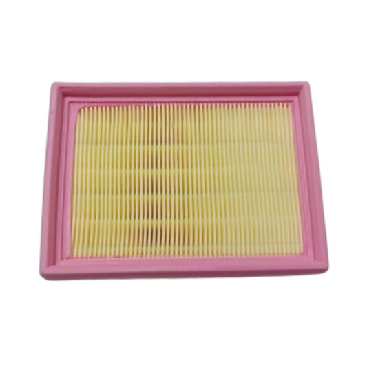 Filtro aria Lombardini