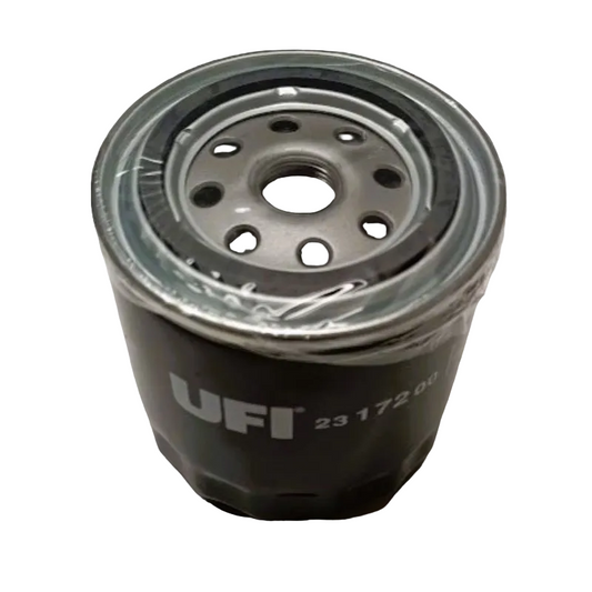 Filtro olio Ape Diesel