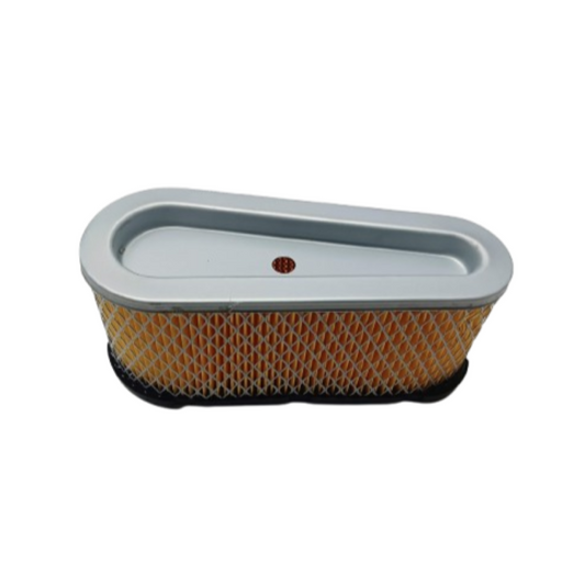 Filtro aria Briggs&Stratton