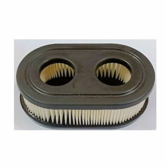 Filtro aria motore Briggs&Stratton