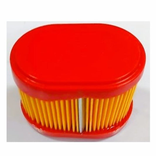 Filtro aria motore Briggs&Stratton