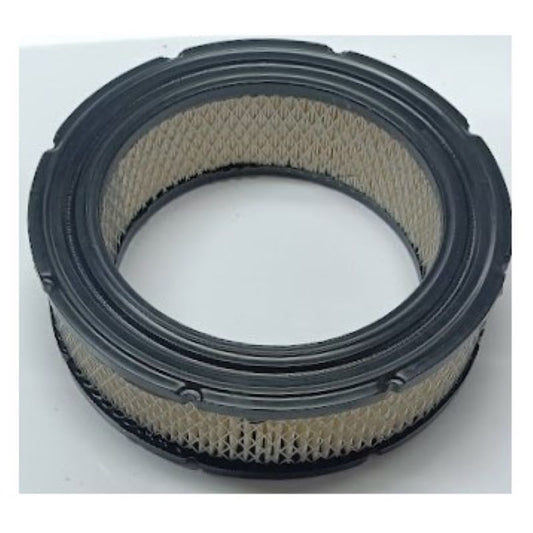 Filtro aria motore briggs&stratton