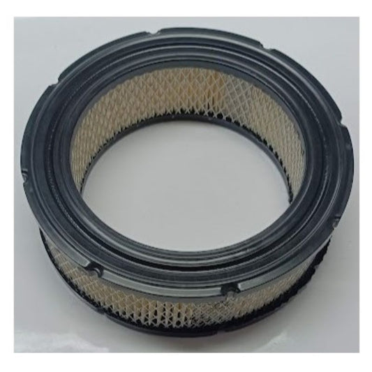 Filtro aria trattorino Briggs&Stratton
