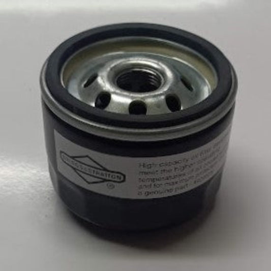 Filtro olio motore Briggs&Stratton