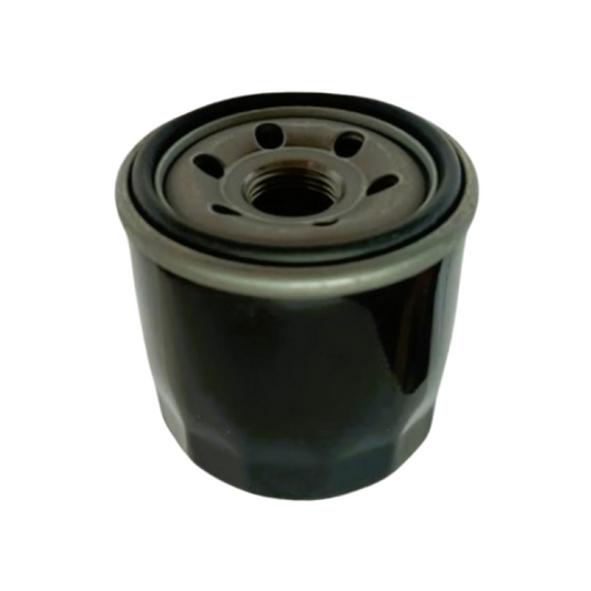Filtro olio Piaggio