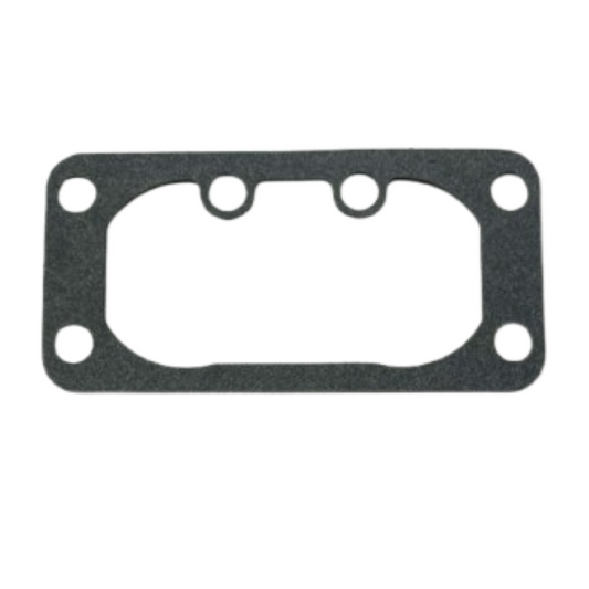 Guarnizione filtro aria Briggs&Stratton