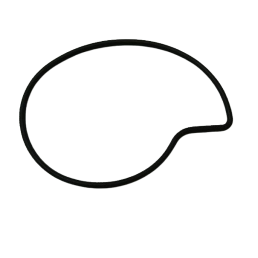 Guarnizione pompa acqua scooter Piaggio