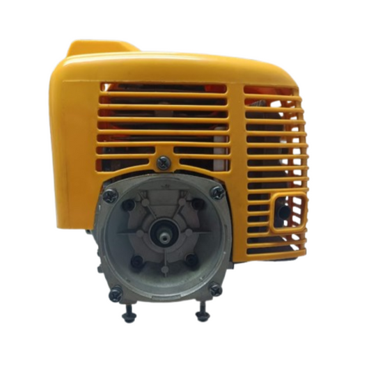 Motore decespugliatore Sandrigarden
