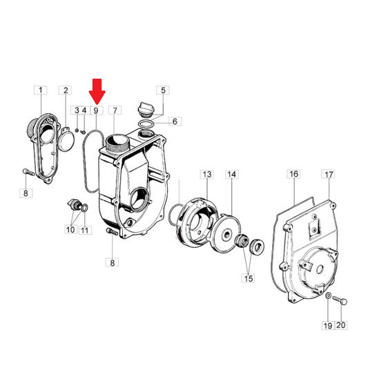 Anello o-Ring