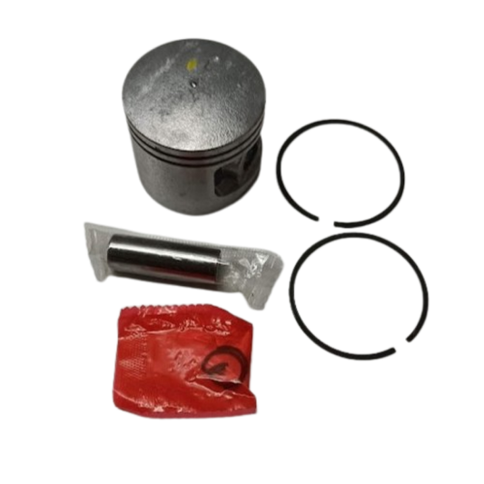 Pistone Sandrigarden CS 45