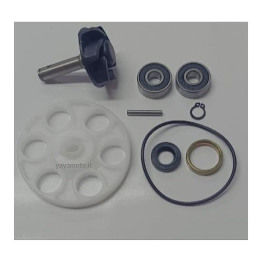 Pompa acqua scooter motori Minarelli