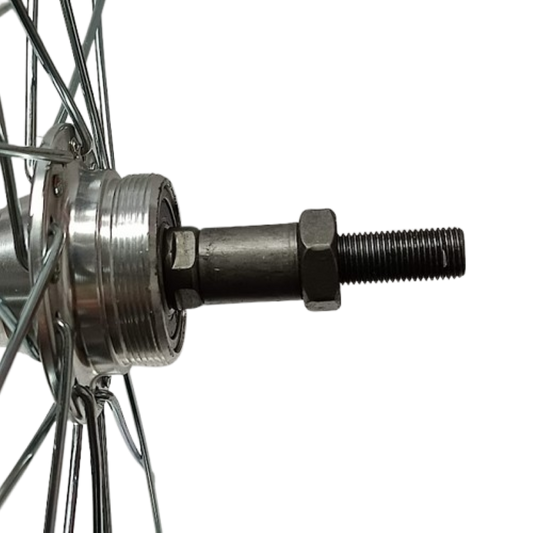 Ruota posteriore bicicletta