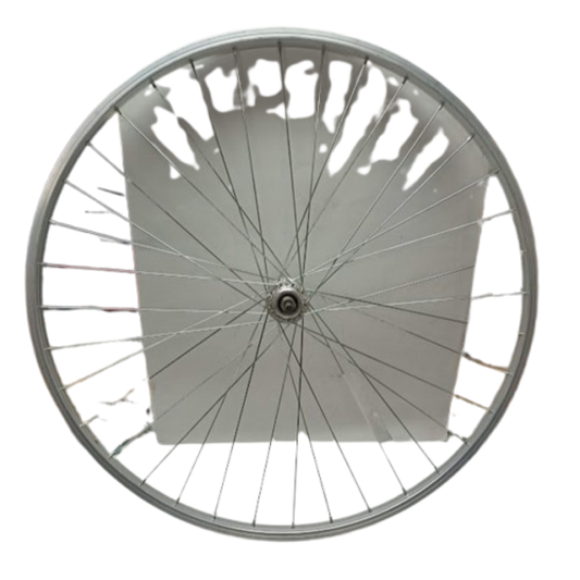 Ruota posteriore bicicletta