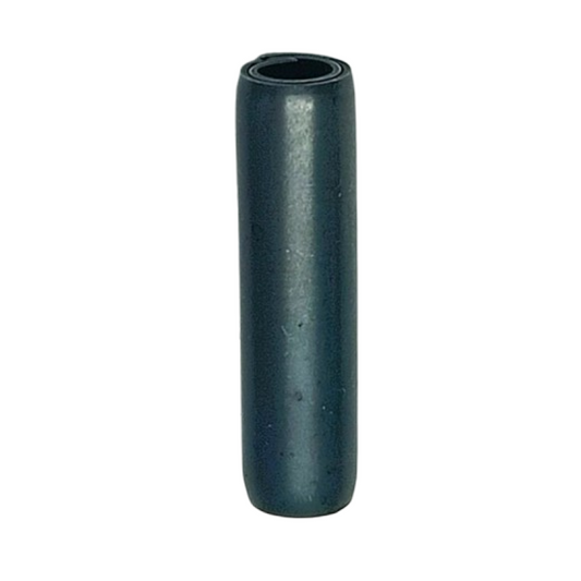 Spina elastica