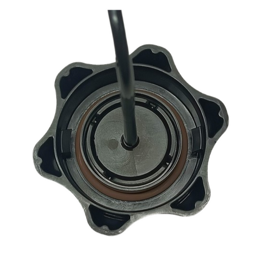 Tappo benzina Briggs&Stratton