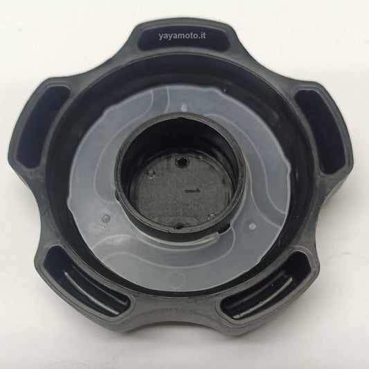 Tappo serbatoio benzina Briggs&Stratton