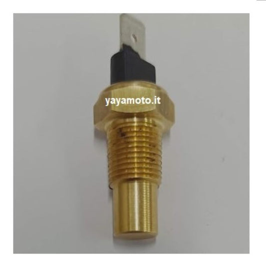 Termistore acqua motore Minarelli