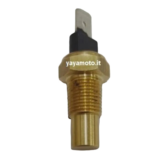 Termistore acqua motore Minarelli