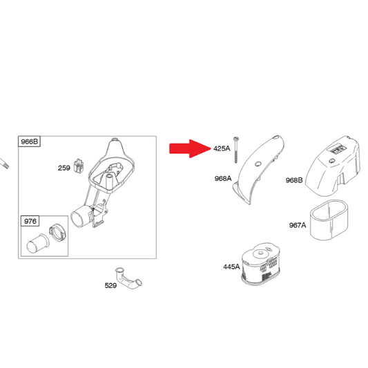 Vite coperchio Briggs