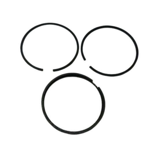 Segmenti fasce elastiche