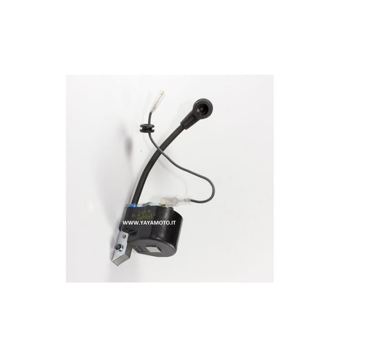Bobina accensione decespugliatore Bluebird N25/31E
