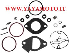 Kit guarnizioni Briggs & Stratton carburatore Nikki