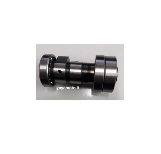 Albero a camme Mini Cross Beta 4T R-107