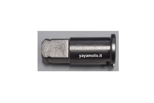 Albero pompa acqua Beta RR 50