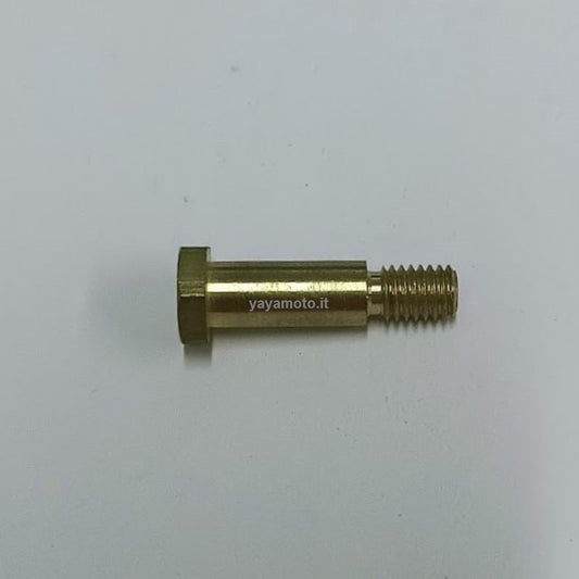 Bullone membrana pistone pompa Bertolini