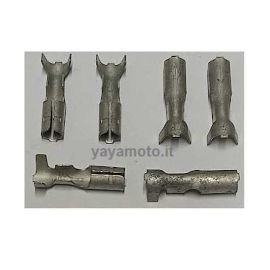 Capicorda fastom Fiat Femmina