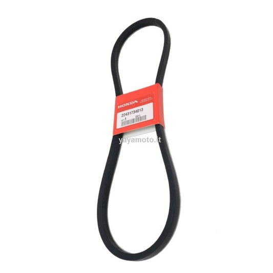 Cinghia motozappa Honda F410-F460-F510-F560