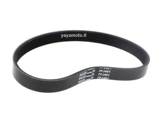 Cinghia rasaerba elettrico Alpina