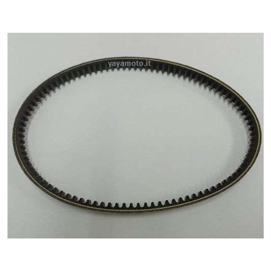 Cinghia trinciasarmenti Efco