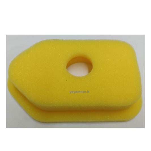 Filtro aria motore Briggs&Stratton