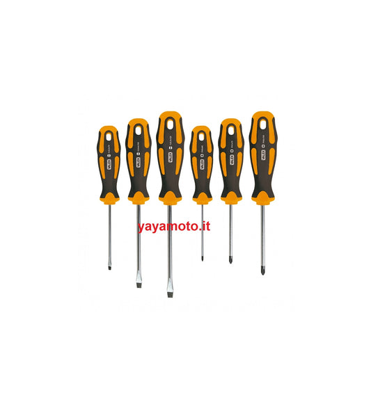 Serie cacciaviti per viti con intaglio e Phillips