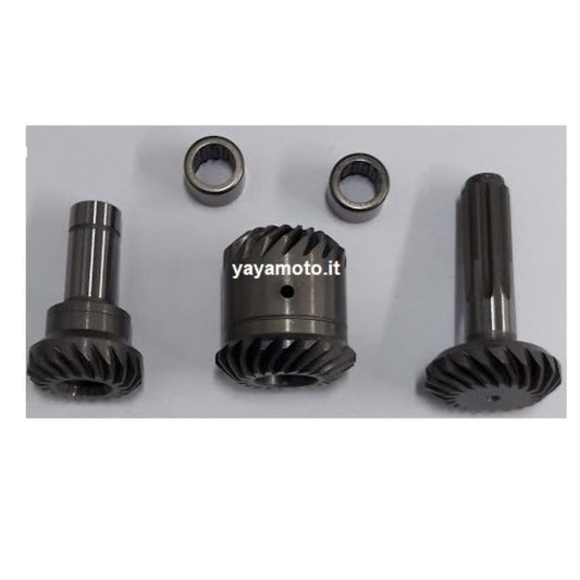 Kit ingranaggi tagliasiepe Efco Oleomac