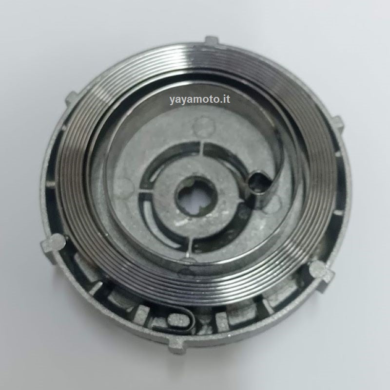 Molla Avviamento Facilitato Decespugliatore– Di Spina Gianvito - Foto 6