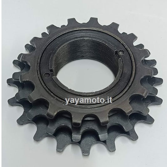 Ruota libera tripla per bicicletta