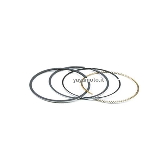 Serie segmenti Briggs & Stratton