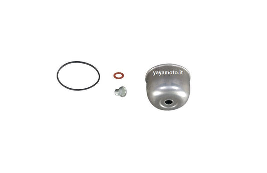 Vaschetta carburatore trattorino Briggs & Stratton