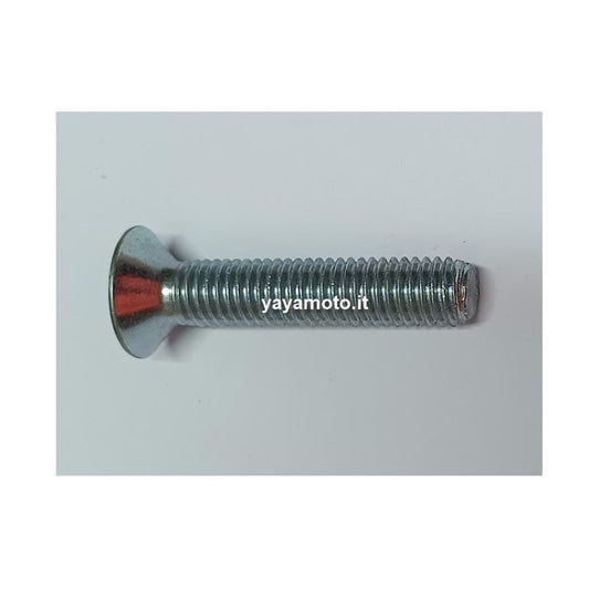 Vite conica marmitta Beta