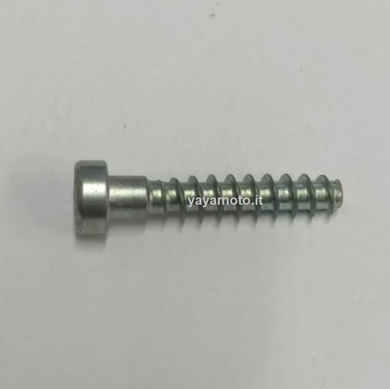 Viti A Brugola M6x25 Per Motosega - Set Da 10 Per Stihl, Husqvarna - Scatola 181