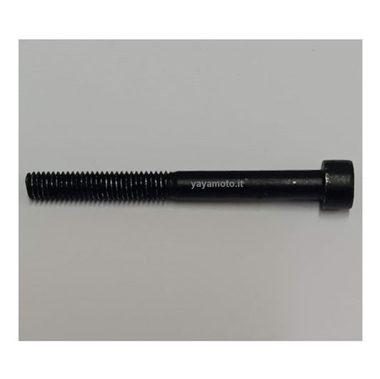 Vite marmitta decespugliatore Efco